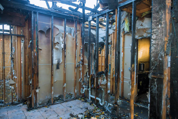 Professional Fire Damage Repair technician working in Henderson, MN